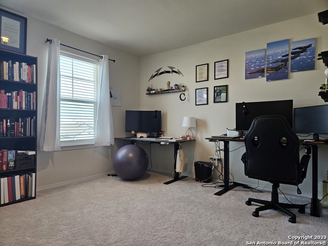 535 Wild Olive Way Property Photo 17