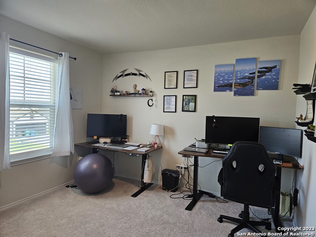 535 Wild Olive Way Property Photo 18