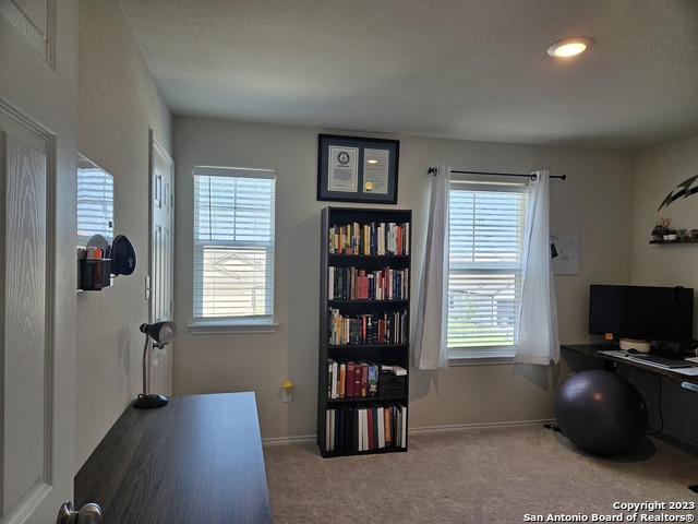 535 Wild Olive Way Property Photo 19