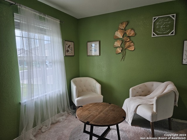 535 Wild Olive Way Property Photo 23