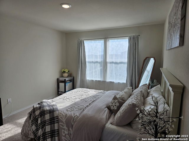 535 Wild Olive Way Property Photo 30