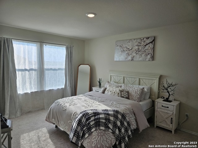 535 Wild Olive Way Property Photo 31