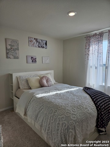 535 Wild Olive Way Property Photo 32