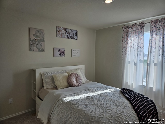 535 Wild Olive Way Property Photo 33