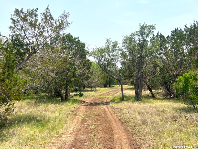 1220 Flying T Ranch Property Photo 4