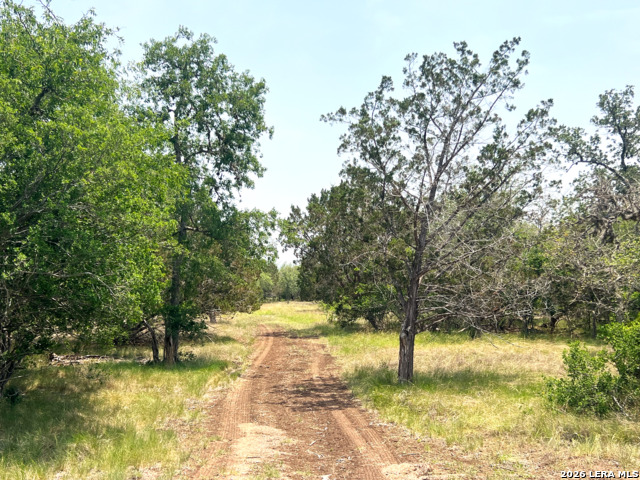 1220 Flying T Ranch Property Photo 8