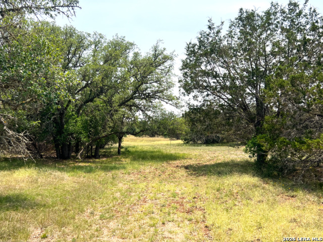 1220 Flying T Ranch Property Photo 10