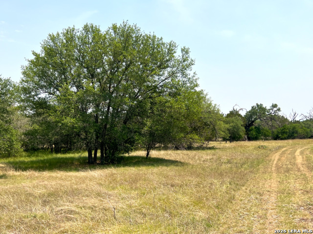 1220 Flying T Ranch Property Photo 14