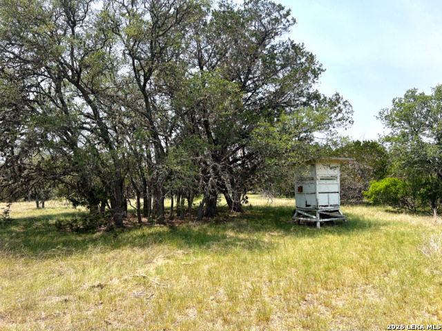 1220 Flying T Ranch Property Photo 17