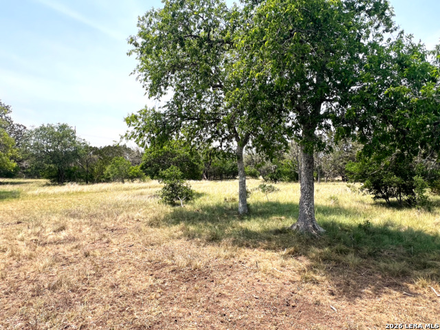 1220 Flying T Ranch Property Photo 19