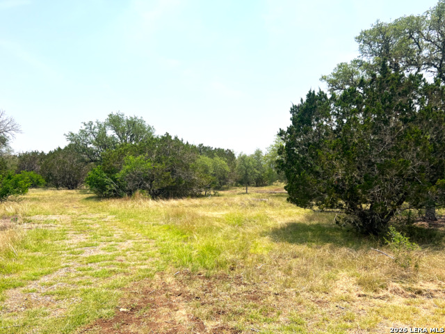 1220 Flying T Ranch Property Photo 23