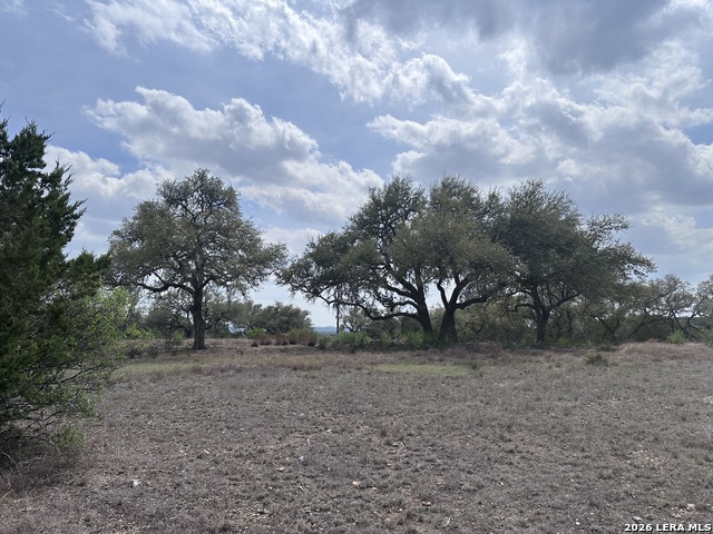 318 Serenity Pass Property Photo 1
