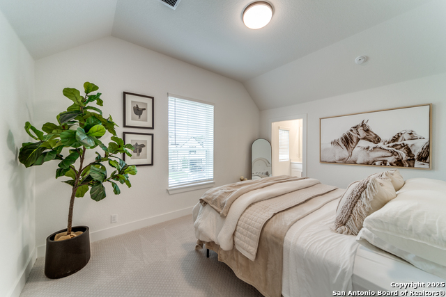 10003 Ellenora Property Photo 29