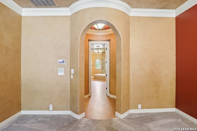 315 Santa Domingo Property Photo 29