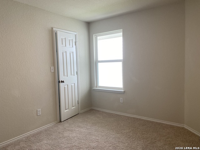 6231 Windy Green Property Photo 13