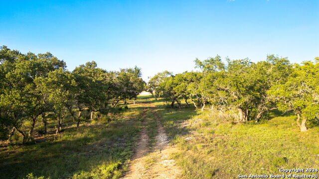 711 Blaze Ridge Property Photo 6