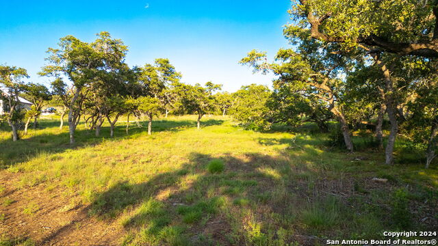 711 Blaze Ridge Property Photo 7