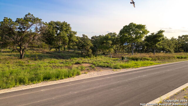 711 Blaze Ridge Property Photo 9