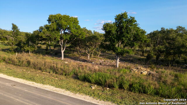 711 Blaze Ridge Property Photo 15