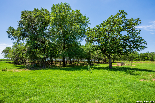 11259 N State Highway 80 Property Photo 7