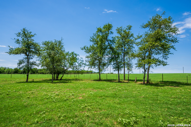11259 N State Highway 80 Property Photo 11