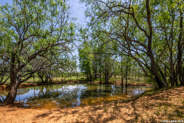 11259 N State Highway 80 Property Photo 35