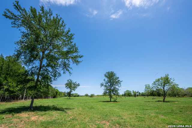 11259 N State Highway 80 Property Photo 36