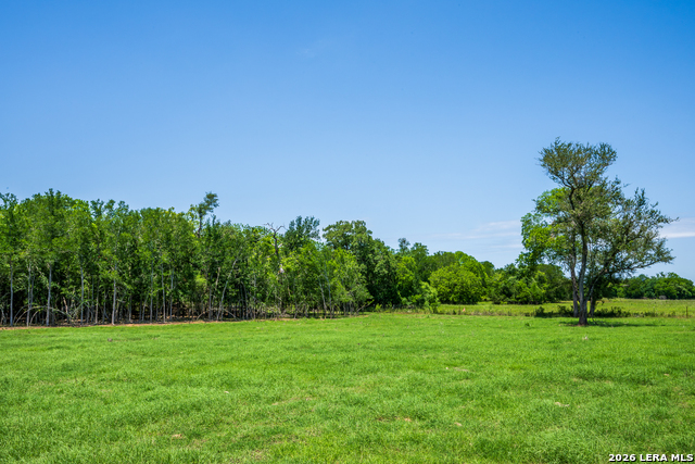 11259 N State Highway 80 Property Photo 39