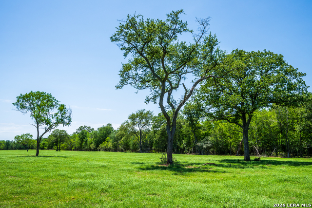 11259 N State Highway 80 Property Photo 40