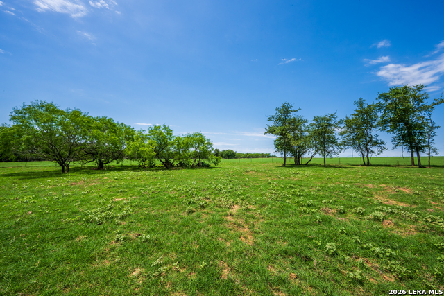 11259 N State Highway 80 Property Photo 44