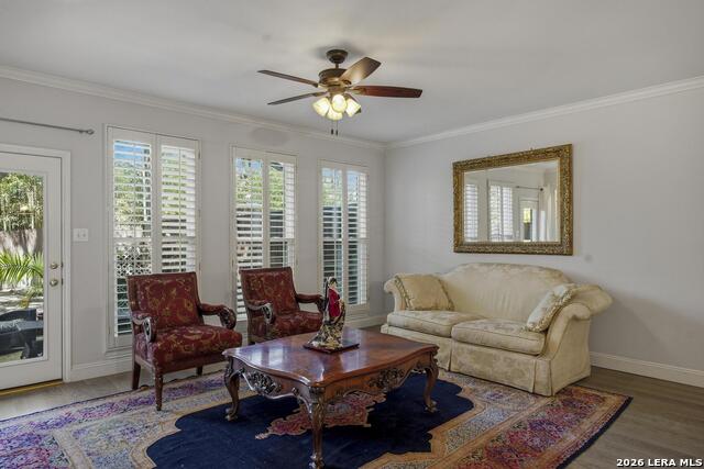 145 Elizabeth Property Photo 7