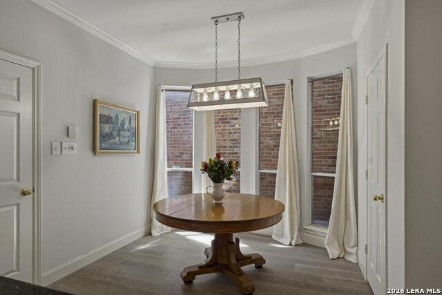 145 Elizabeth Property Photo 14