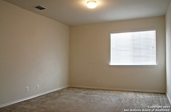 547 Red Quill Nest Property Photo 33