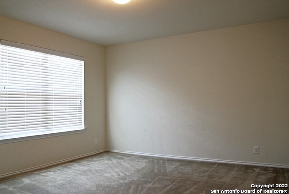 547 Red Quill Nest Property Photo 42