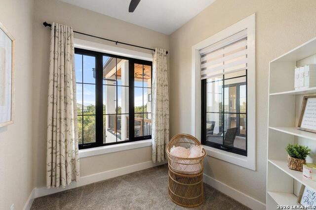 2415 Comal Spgs Property Photo 28