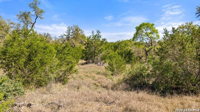 19 Stone Ridge Mountain Dr Property Photo 15