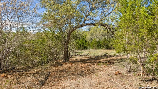 19 Stone Ridge Mountain Dr Property Photo 17