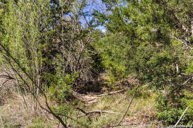 19 Stone Ridge Mountain Dr Property Photo 36