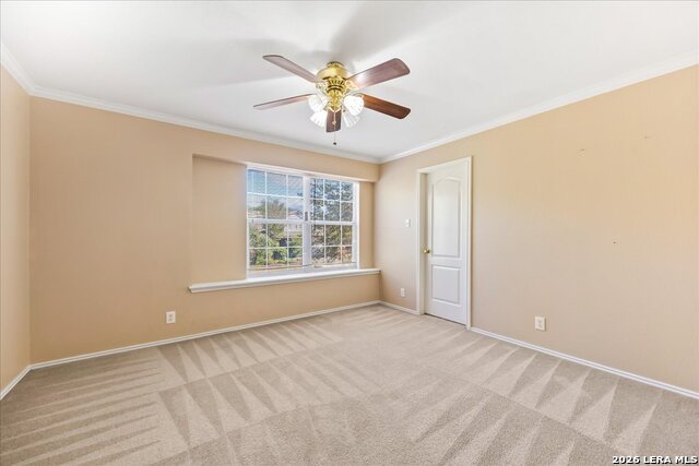 10614 Lynx Range Property Photo 21