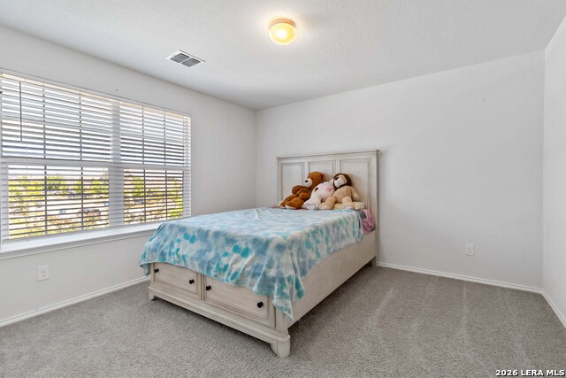 3444 Copper Willow Property Photo 26