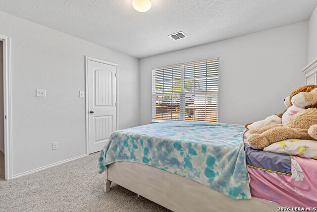 3444 Copper Willow Property Photo 27