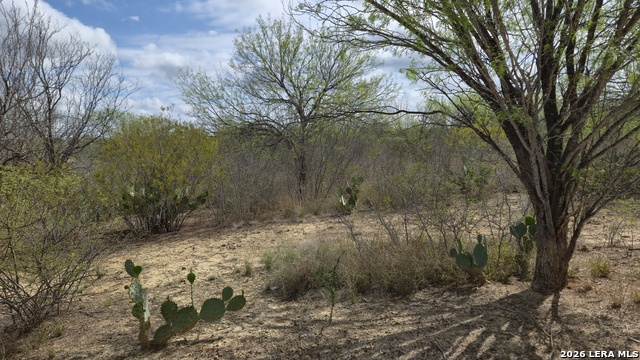 Tbd Talamantez Property Photo 4