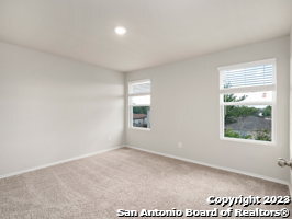 9919 Grove Mist Property Photo 16