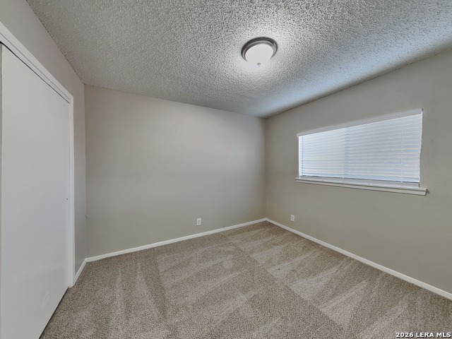 4909 Tiffany Property Photo 12