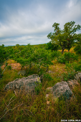 000 Rambling Oaks Ranch Property Photo 5