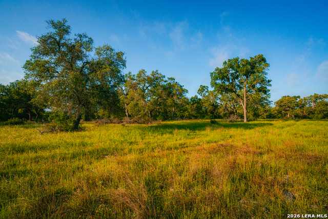 000 Rambling Oaks Ranch Property Photo 6