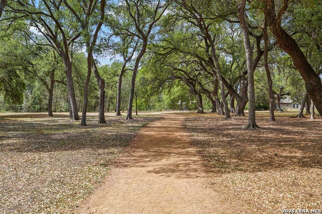 9025 Peridot Property Photo 46
