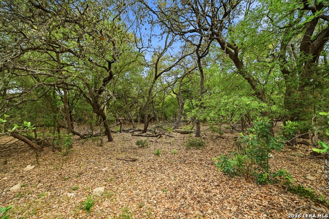 15 Villa Verde Property Photo 4