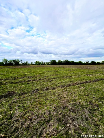 3171 Lower Seguin Property Photo 1