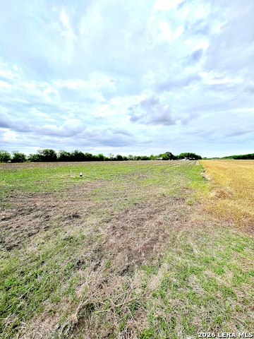 3171 Lower Seguin Property Photo 4